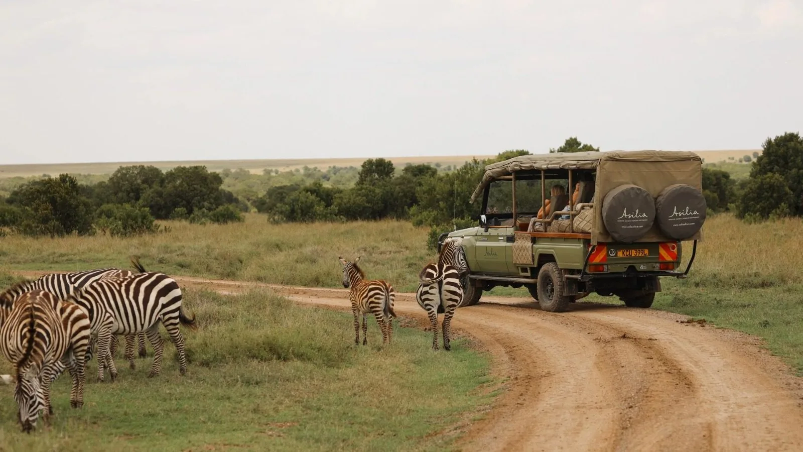 Ol Pejeta Bush Camp, image 2