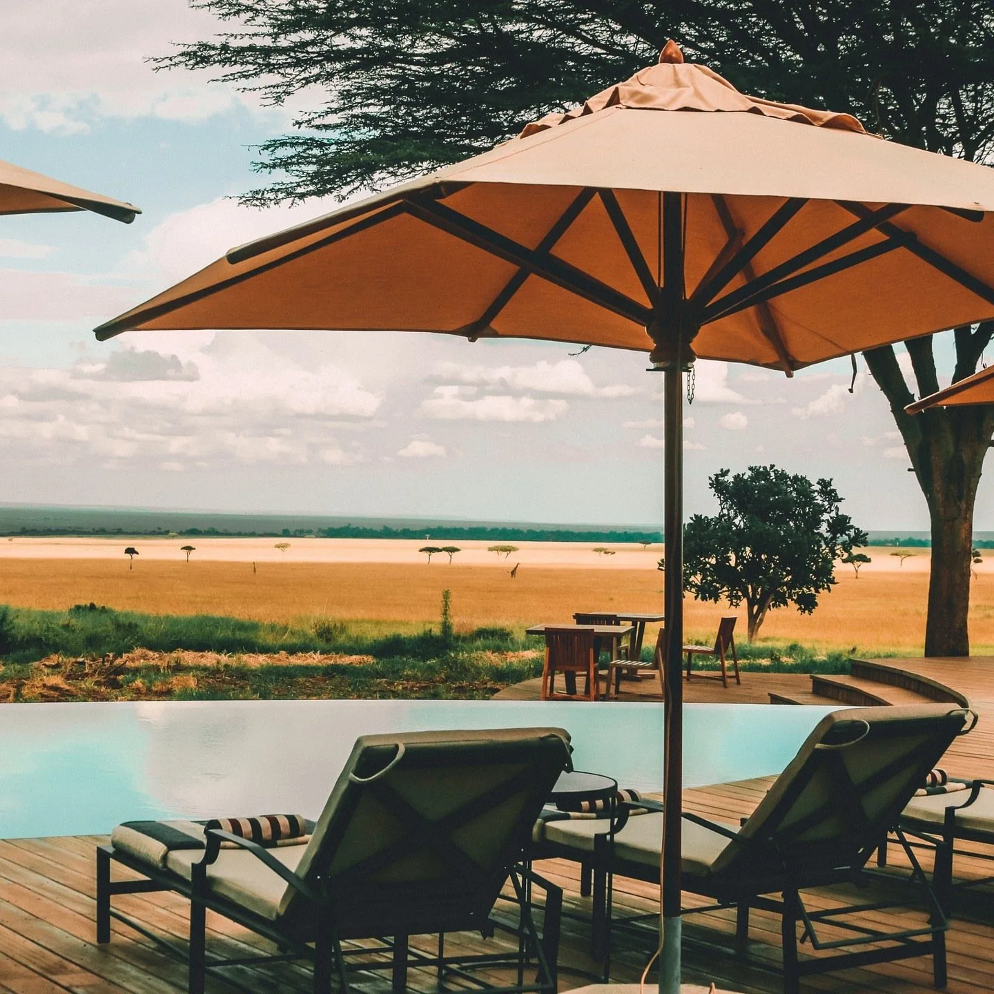 Offbeat Mara Camp 1