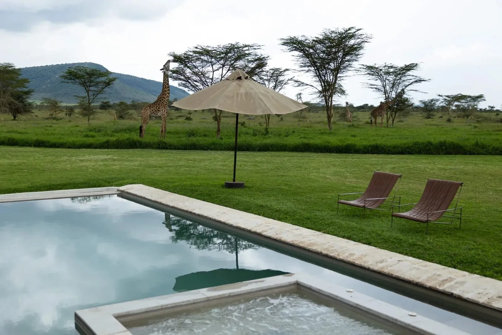 The Golden Hour Safari in Kenya safari