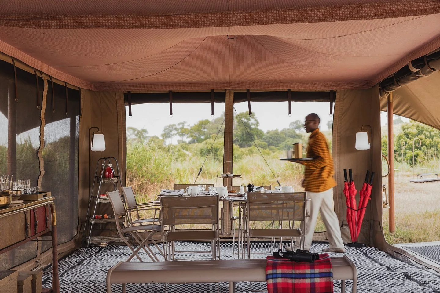 Safari camp experience with wildlife nearby