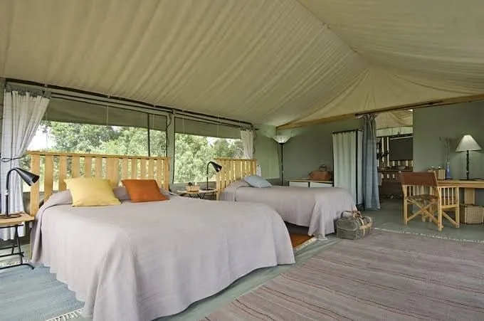 Porini Lion Camp, image 2