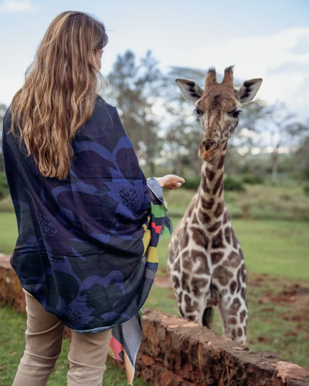 Giraffe Manor 1