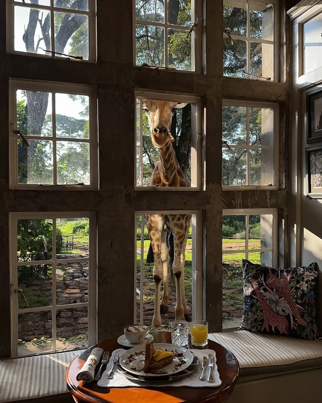 Giraffe Manor, image 1