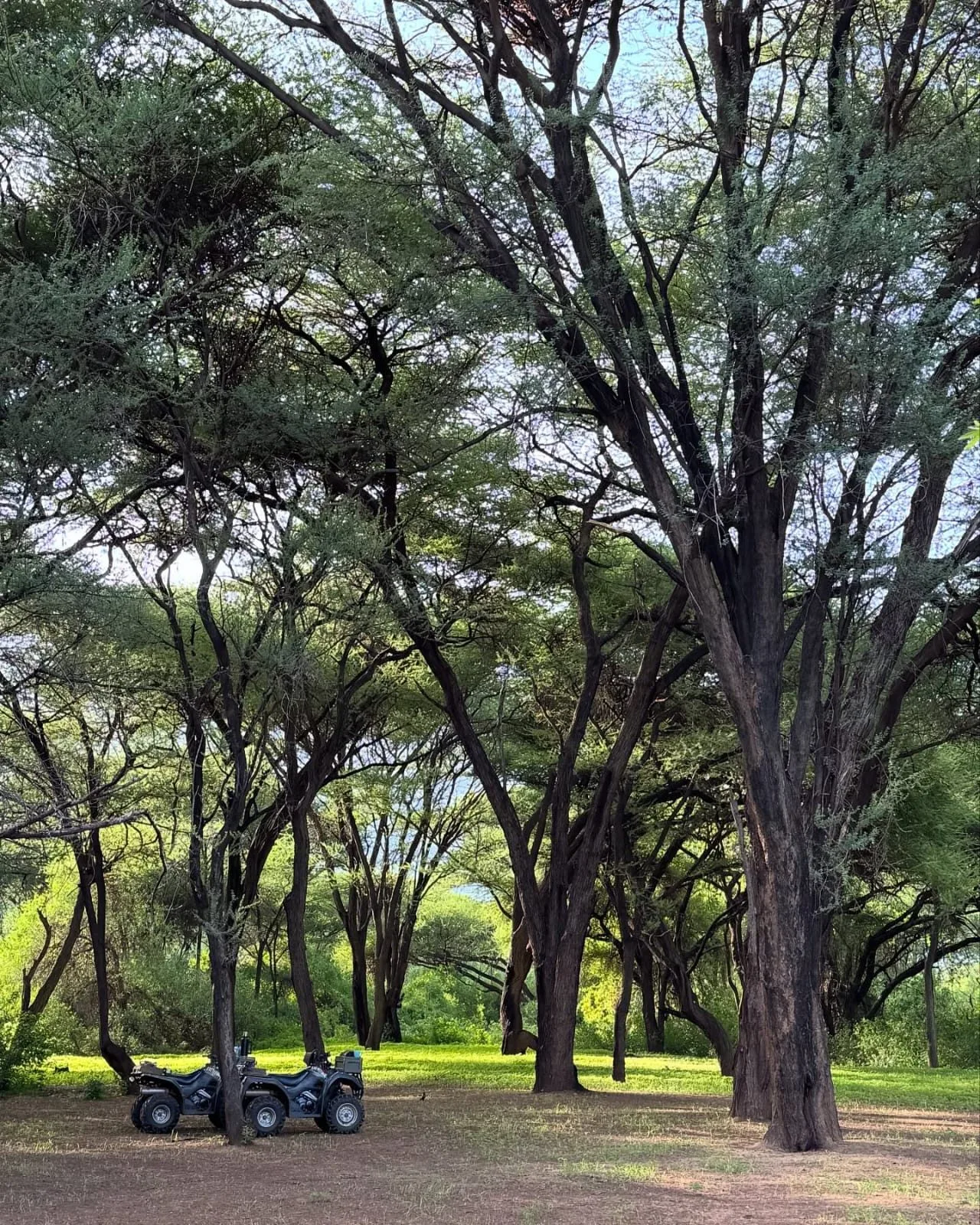 overview, Northern Kenya & Samburu