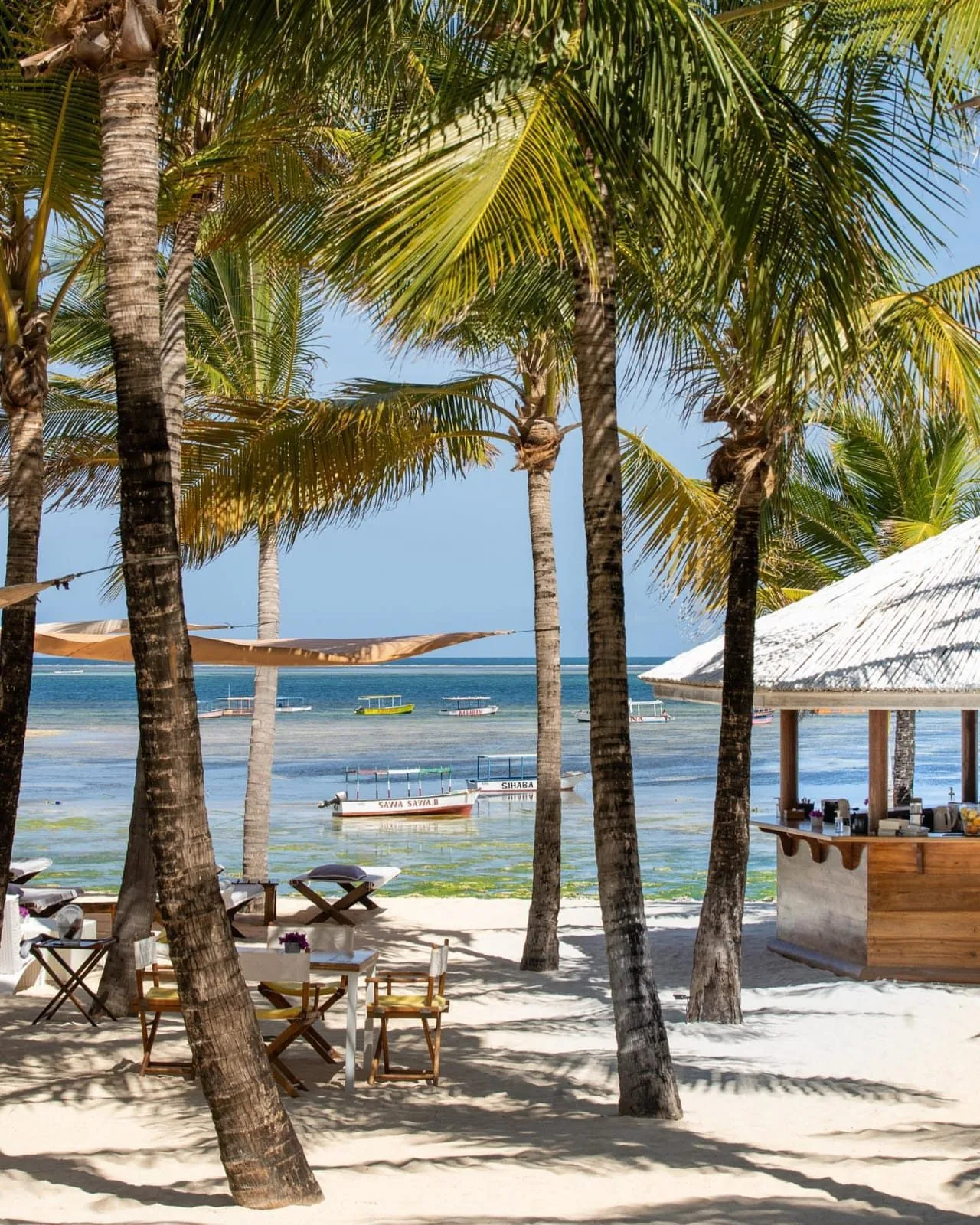 wildlife, Watamu & Malindi