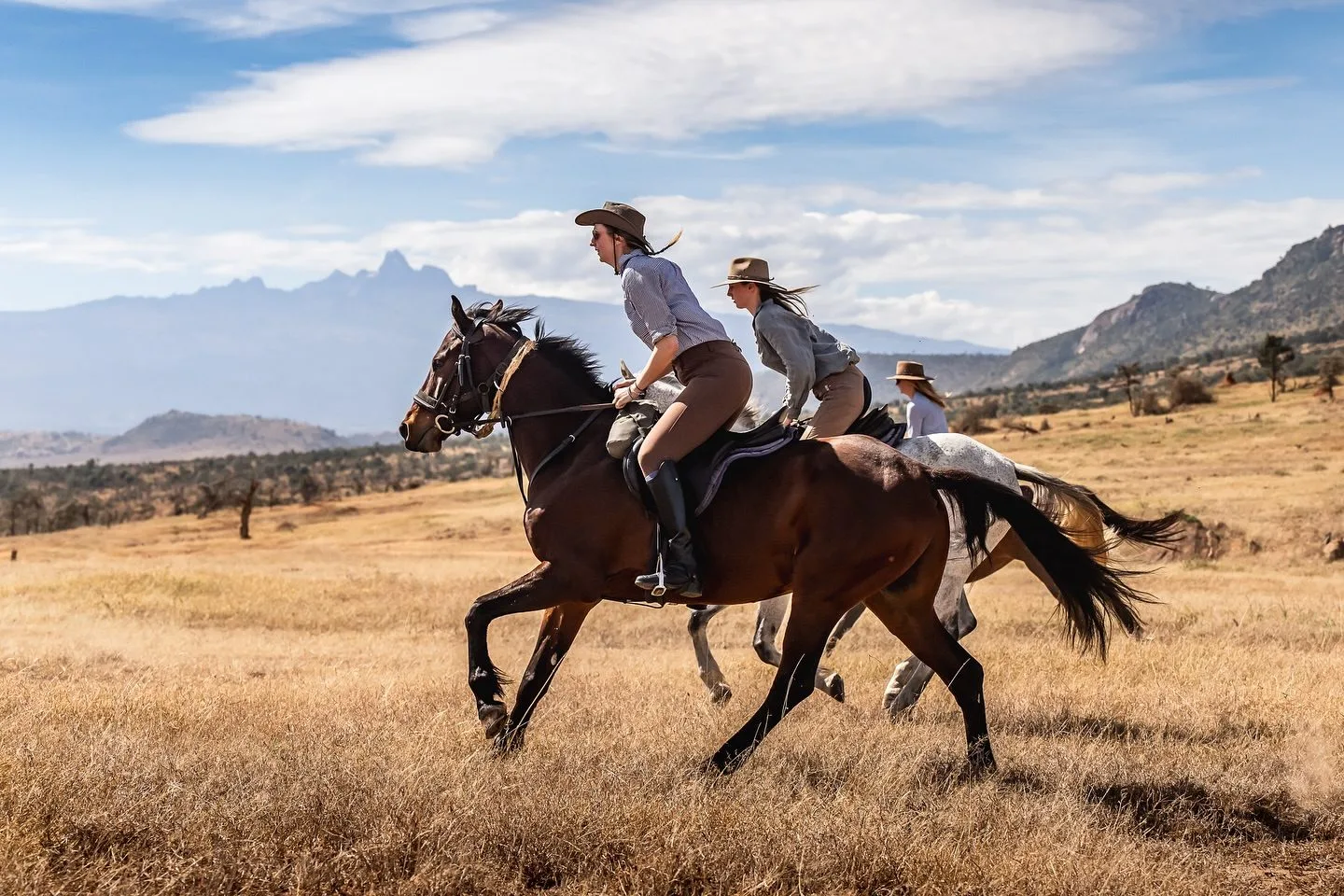 Safari guest moment 5